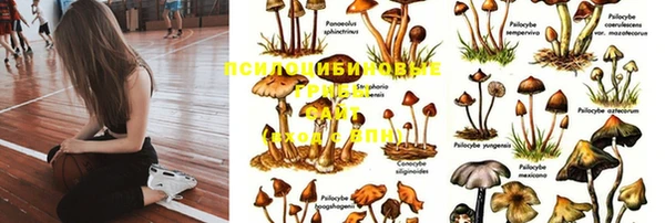 мескалин Алзамай
