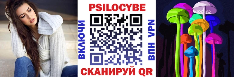 Галлюциногенные грибы Psilocybe  Невинномысск 